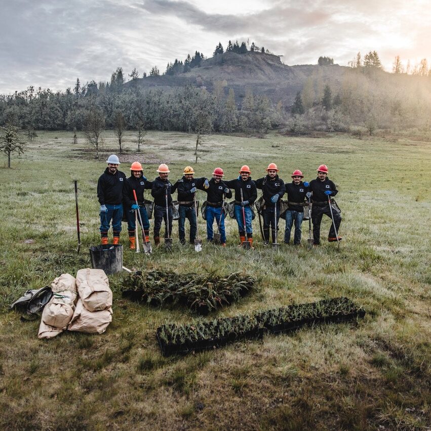 London Box Sash Windows Team Planting trees for future timber windows to be made from